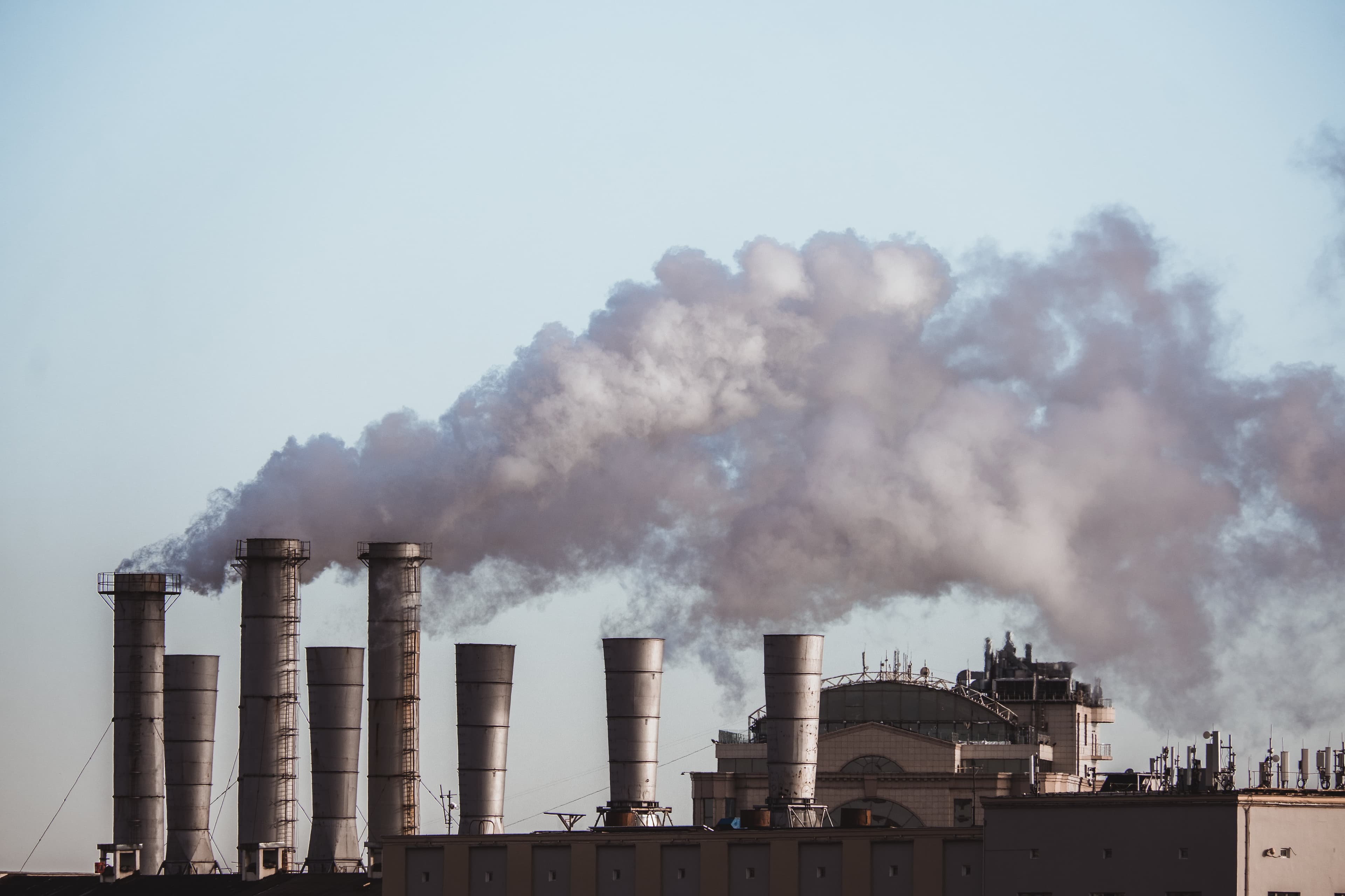 O impacto da COP30 para o setor produtivo